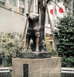 Hachiko-statyn vid ingången till Shibuya-stationen, en populär samlingsplats