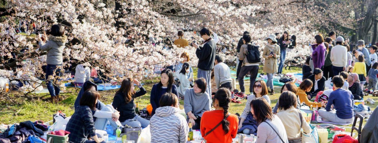 Hanami-picnic under trÃ¤den i Tokyo