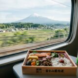 Färgglad japansk ekiben matlåda på ett tåg med utsikt genom fönstret